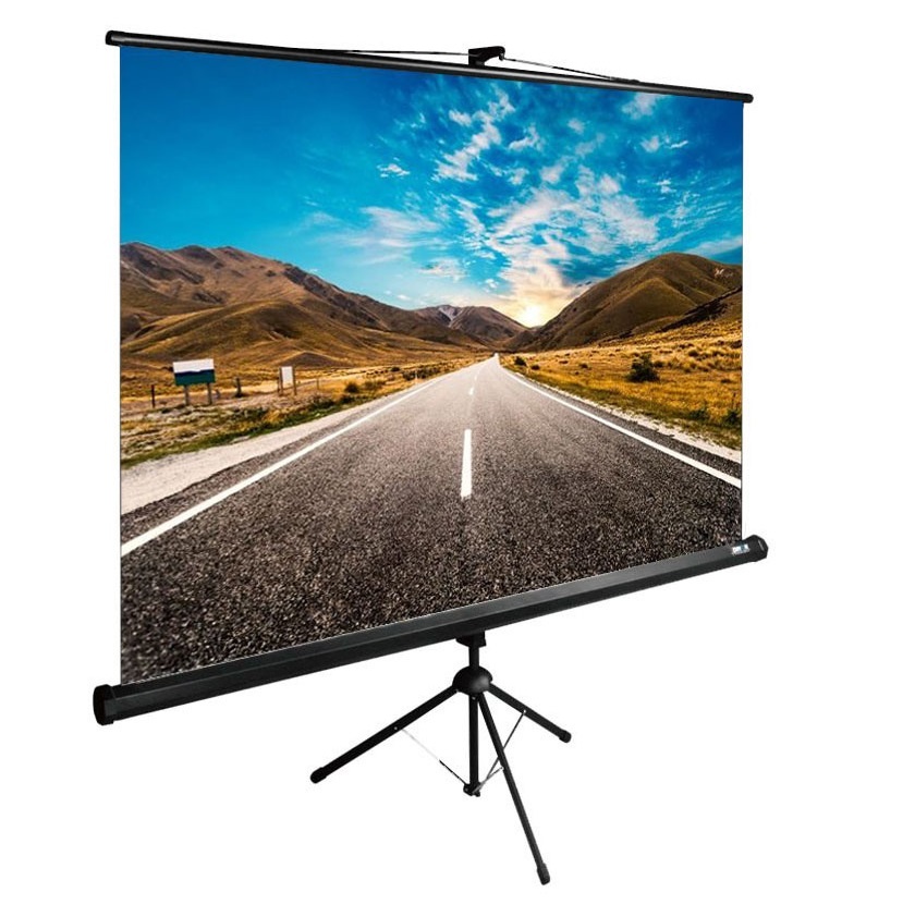 Экран Cactus 160×160см TriExpert